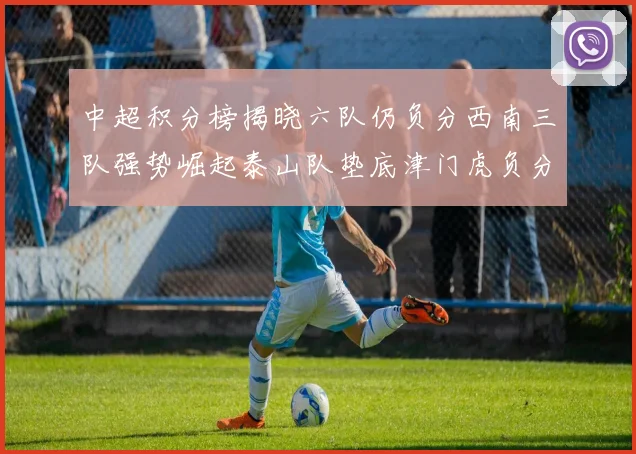 中超积分榜揭晓六队仍负分西南三队强势崛起泰山队垫底津门虎负分严重