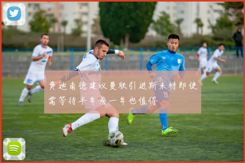费迪南德建议曼联引进斯米特即使需等待半年或一年也值得